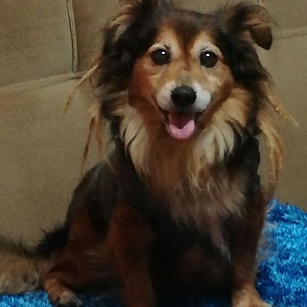 Max