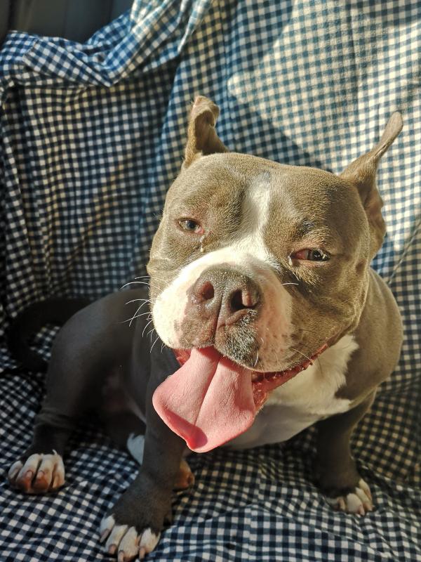 PABLO 