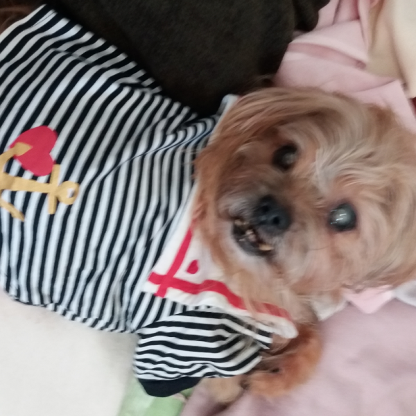 Pablo