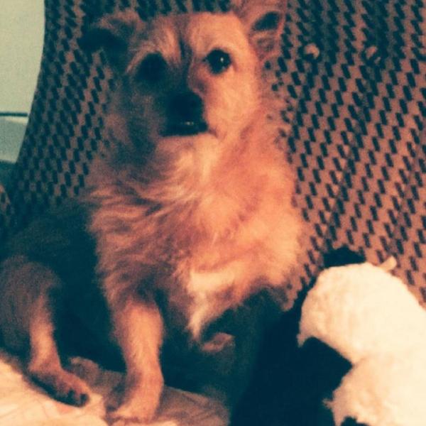 TICO